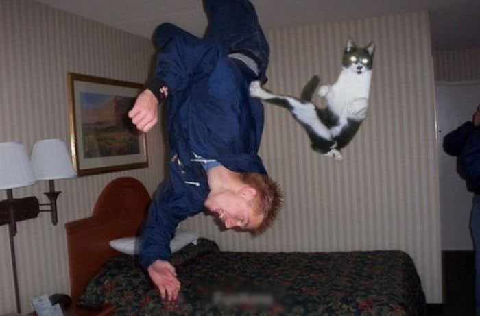 Name:  Cat of the day.jpg
Views: 445
Size:  58.6 KB