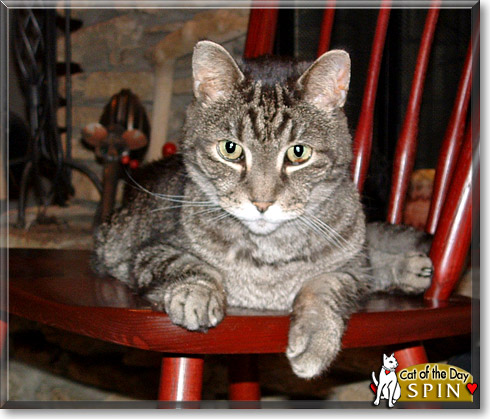 Name:  24.jpg
Views: 322
Size:  76.5 KB