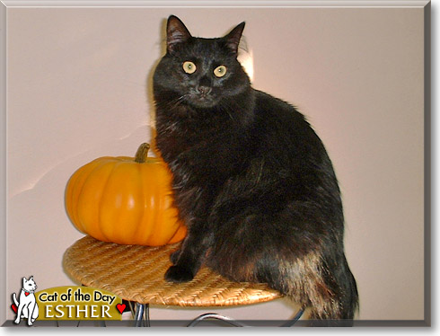 Name:  27.jpg
Views: 294
Size:  52.9 KB