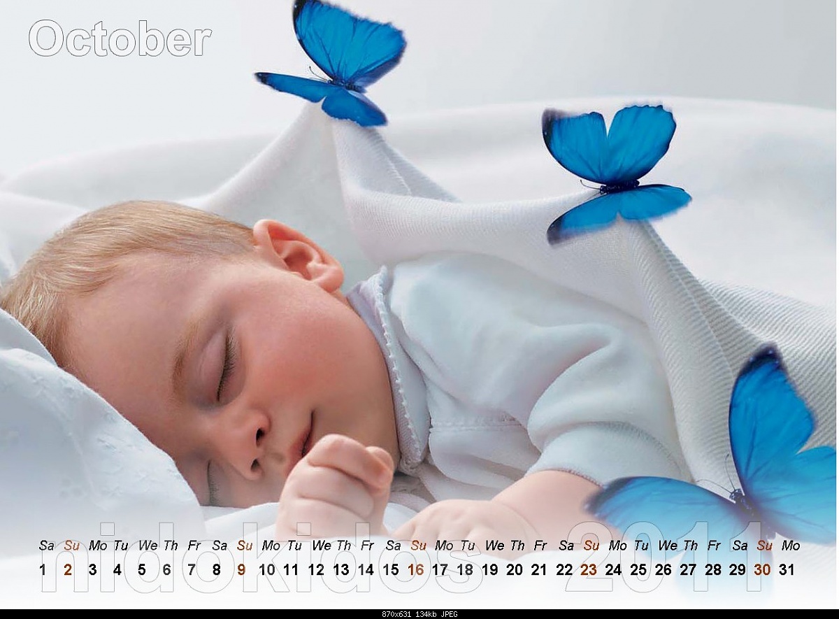 Cute Baby Calendar 2011-image00010_212.jpg