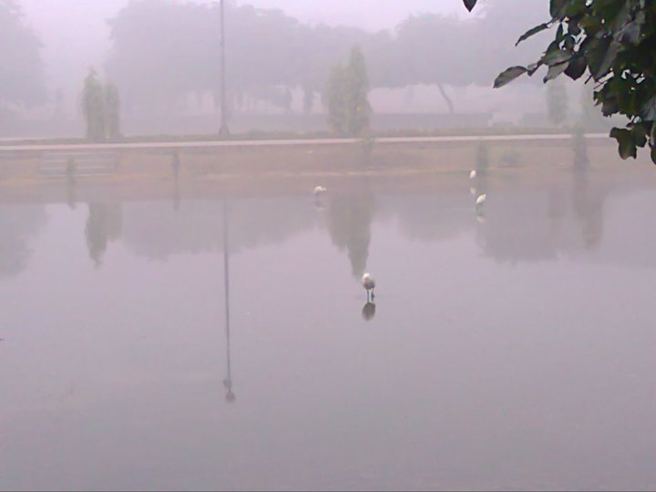 Name:  Fog in BZU (across central library)2.jpg
Views: 485
Size:  28.1 KB