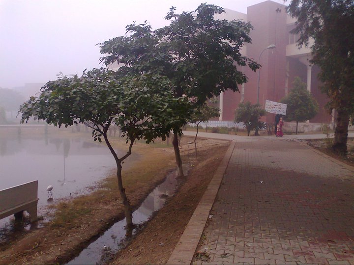 Name:  Fog in BZU (across central library)3.jpg
Views: 641
Size:  84.8 KB