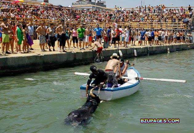 Name:  Spain - Running of the Bulls (1).jpg
Views: 645
Size:  77.5 KB