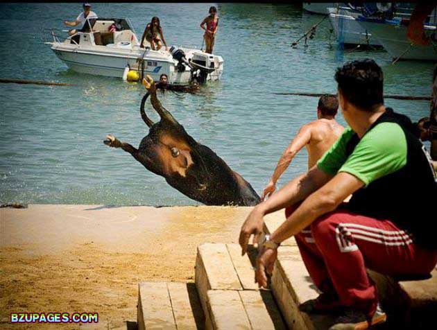 Name:  Spain - Running of the Bulls (2).jpg
Views: 684
Size:  70.7 KB