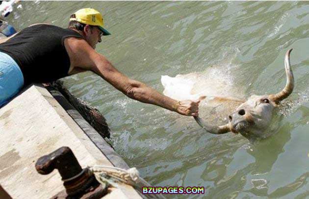 Name:  Spain - Running of the Bulls (3).jpg
Views: 590
Size:  54.6 KB