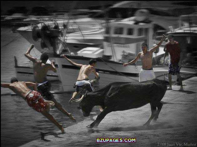 Name:  Spain - Running of the Bulls (4).jpg
Views: 563
Size:  54.9 KB