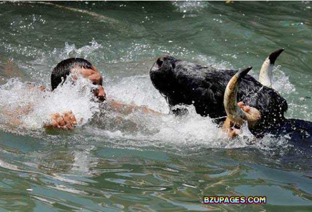 Name:  Spain - Running of the Bulls (5).jpg
Views: 551
Size:  68.3 KB