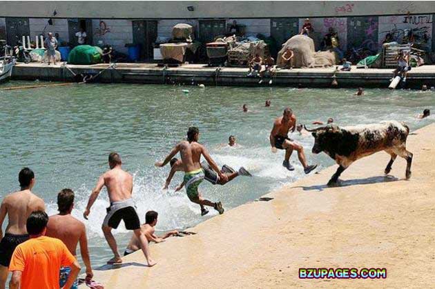 Name:  Spain - Running of the Bulls (6).jpg
Views: 652
Size:  72.7 KB