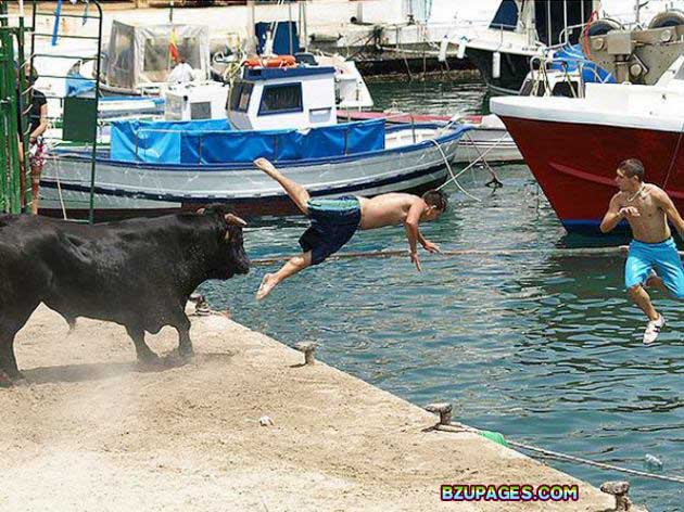 Name:  Spain - Running of the Bulls (7).jpg
Views: 624
Size:  93.0 KB