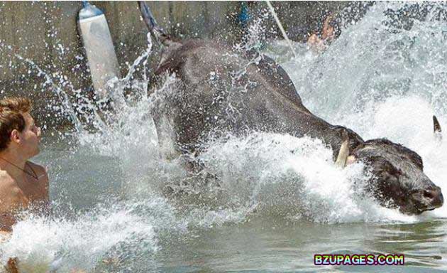 Name:  Spain - Running of the Bulls (8).jpg
Views: 620
Size:  75.7 KB