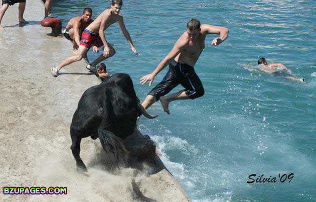 Name:  Spain - Running of the Bulls (10).jpg
Views: 707
Size:  58.4 KB