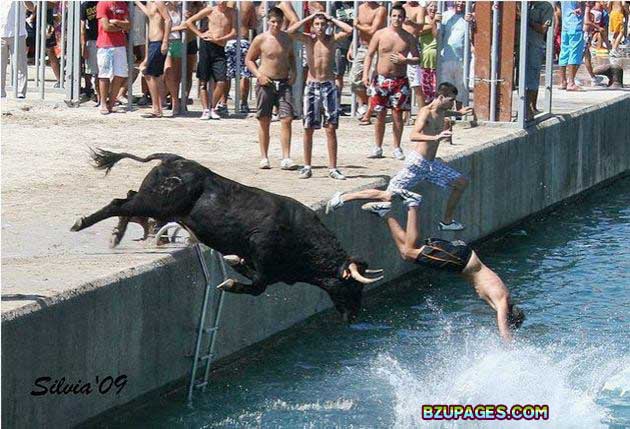 Name:  Spain - Running of the Bulls (12).jpg
Views: 681
Size:  81.8 KB