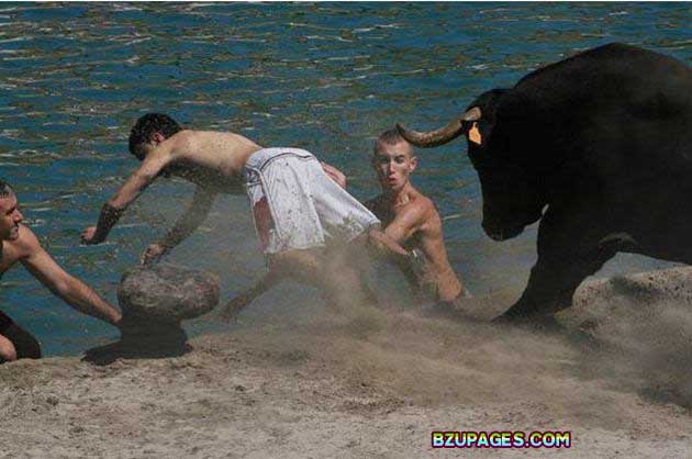 Name:  Spain - Running of the Bulls (14).jpg
Views: 531
Size:  50.6 KB