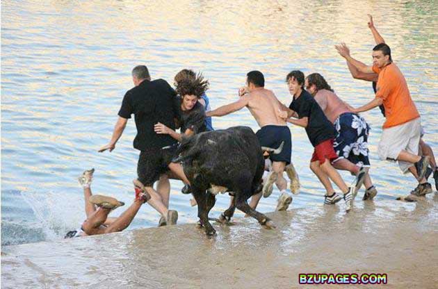 Name:  Spain - Running of the Bulls (15).jpg
Views: 724
Size:  61.9 KB