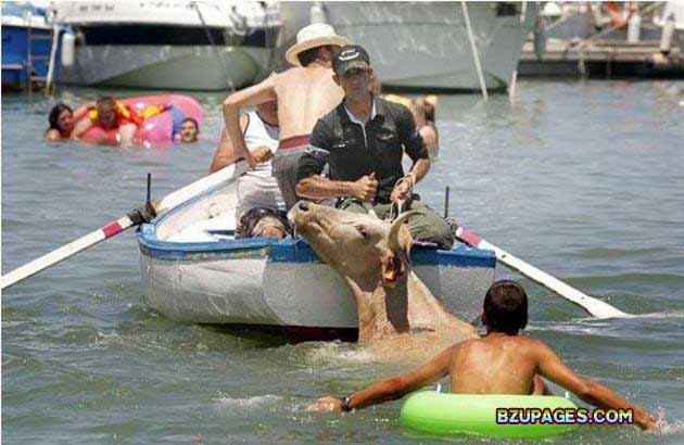 Name:  Spain - Running of the Bulls (16).jpg
Views: 523
Size:  57.5 KB