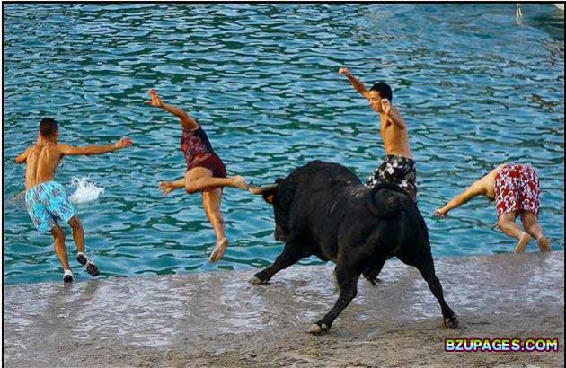 Name:  Spain - Running of the Bulls (17).jpg
Views: 576
Size:  85.8 KB