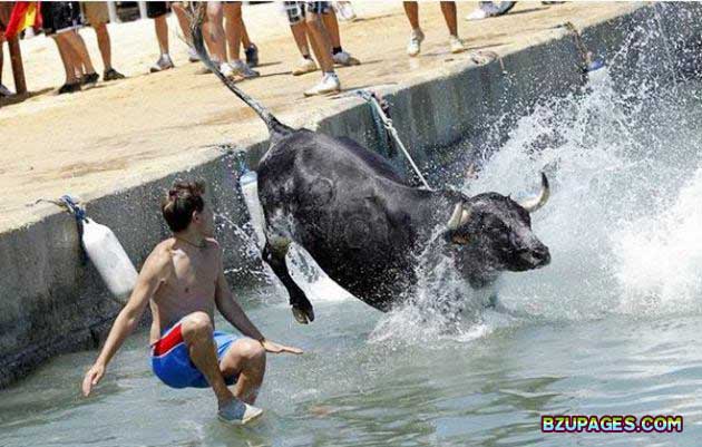 Name:  Spain - Running of the Bulls (20).jpg
Views: 682
Size:  70.3 KB