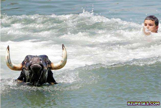 Name:  Spain - Running of the Bulls (21).jpg
Views: 528
Size:  51.4 KB