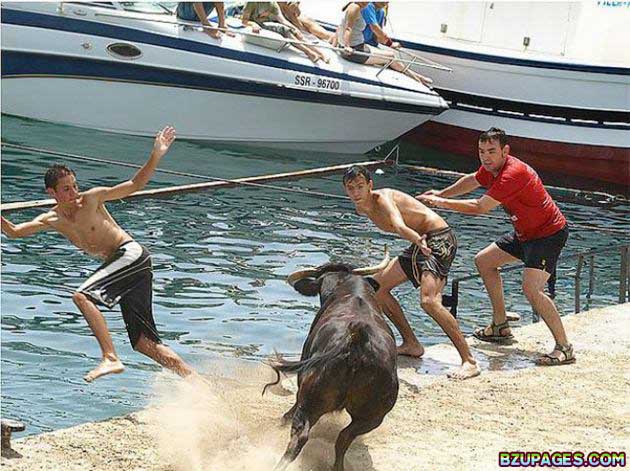 Name:  Spain - Running of the Bulls (22).jpg
Views: 587
Size:  91.9 KB