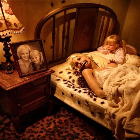 Name:  R U Brave Enough (5).jpg
Views: 497
Size:  39.8 KB