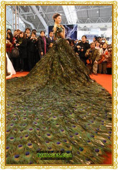 Name:  The 22899.5 million Wedding Dress Made Up Of 2009 Peacock Feathers  (1).jpg
Views: 1155
Size:  92.1 KB