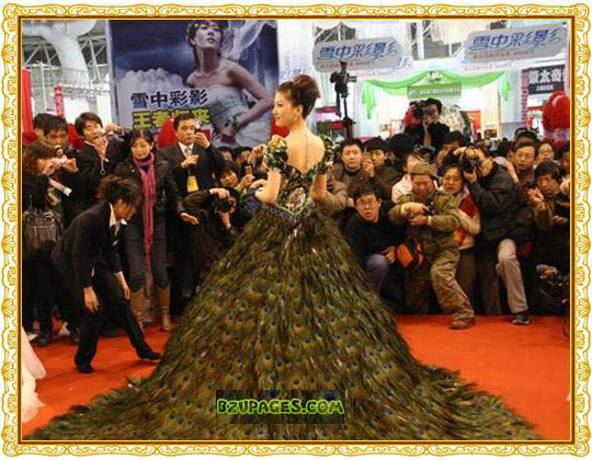 Name:  The 22900.5 million Wedding Dress Made Up Of 2009 Peacock Feathers  (2).jpg
Views: 1733
Size:  92.9 KB
