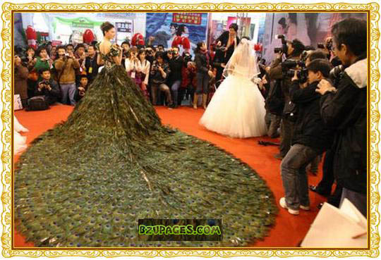 Name:  The 22901.5 million Wedding Dress Made Up Of 2009 Peacock Feathers  (3).jpg
Views: 1224
Size:  84.1 KB