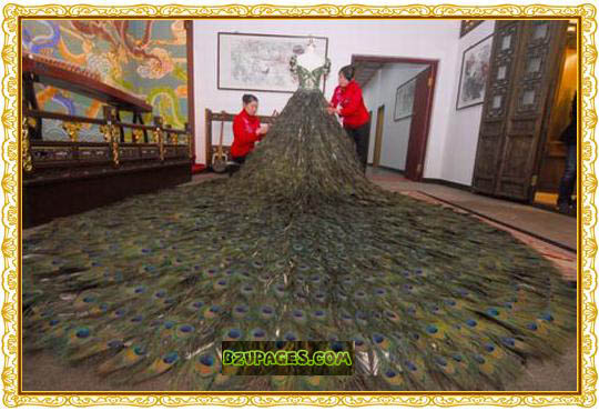 Name:  The 22902.5 million Wedding Dress Made Up Of 2009 Peacock Feathers  (4).jpg
Views: 895
Size:  72.3 KB