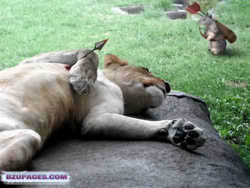 Name:  Mice killing the Lion with Arrow.jpg Views: 0 Size:  48.6 KB