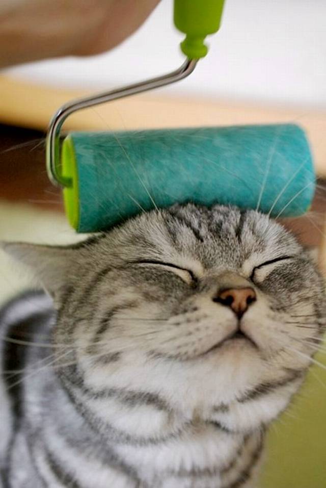 Name:  Funny Pic (11).jpg
Views: 476
Size:  54.2 KB