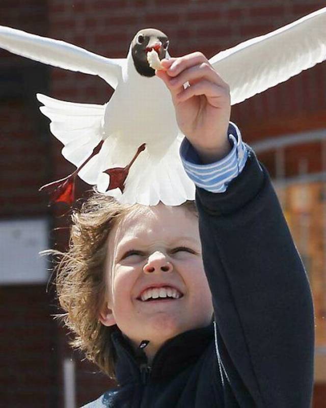 Name:  Funny Pic (25).jpg
Views: 517
Size:  48.8 KB