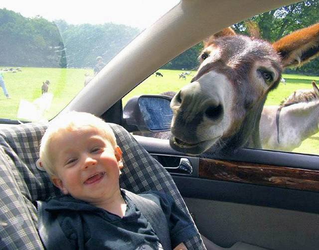 Name:  Funny Pic (31).jpg
Views: 616
Size:  50.6 KB