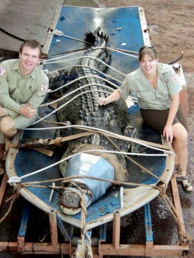 Name:  Funny Pic (40).jpg
Views: 510
Size:  82.1 KB