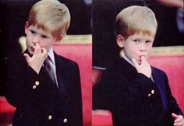 Name:  Funny Pic (43).jpg
Views: 457
Size:  24.8 KB