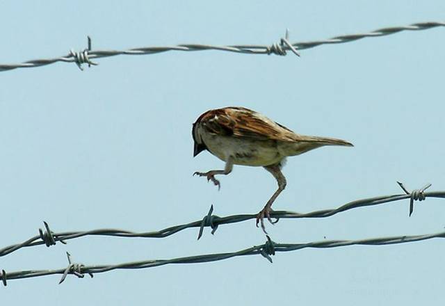 Name:  Funny Pic (48).jpg
Views: 484
Size:  19.0 KB