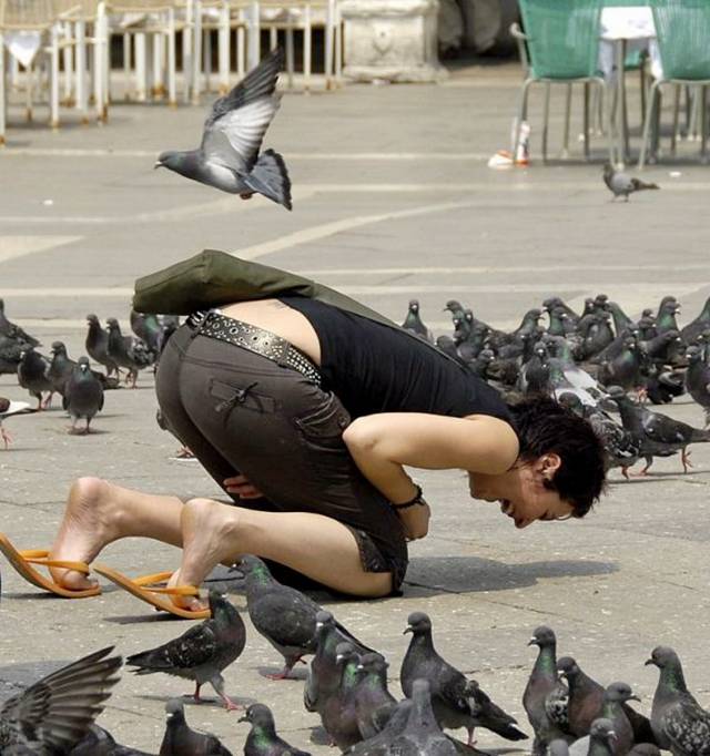 Name:  Funny Pic (49).jpg
Views: 474
Size:  62.9 KB