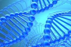 Name:  Scientists map genome of a Pakistani.jpg Views: 0 Size:  46.6 KB