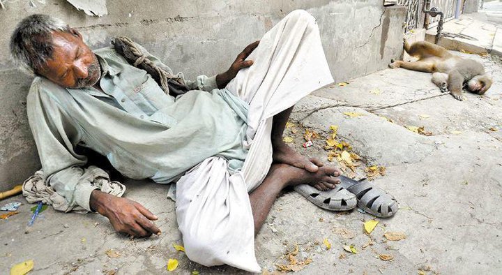 Name:  Monkey wala.jpg
Views: 639
Size:  90.1 KB