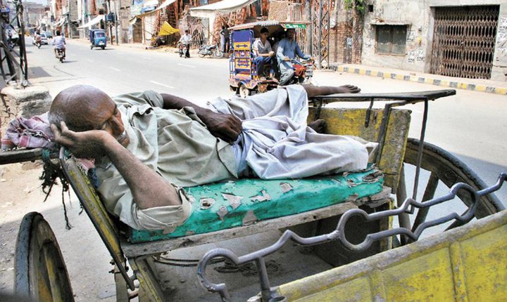 Name:  Tangy wala sleeping.jpg
Views: 672
Size:  100.1 KB