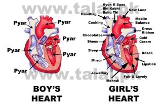 Name:  67182_474025527115_369525227115_6408557_5495909_n.jpg
Views: 266
Size:  16.3 KB