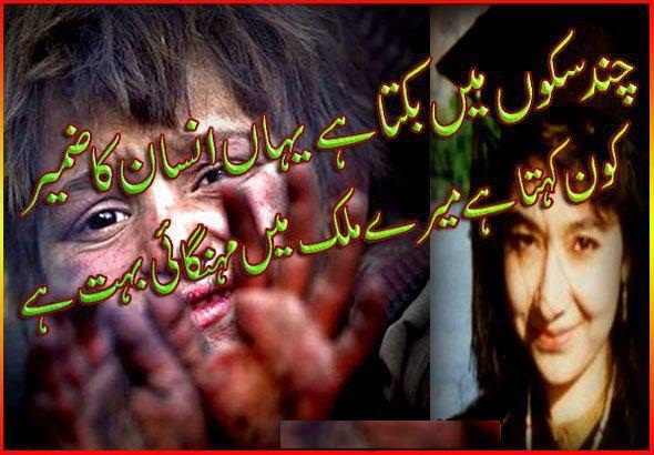 Name:  317520_10150341424473276_707233275_8066602_750497692_n.jpg
Views: 471
Size:  95.5 KB