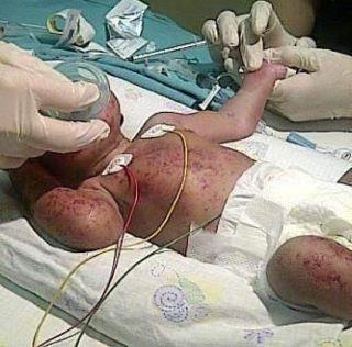 Name:  Everyone say a prayer for the baby.jpg
Views: 353
Size:  25.5 KB