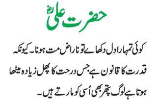 Name:  310384_231207296935494_100001386761724_630670_1291769620_n.jpg
Views: 267
Size:  13.0 KB