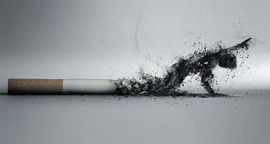 Name:  Most Creative Anti-Smoking Advertisements  (19).jpg
Views: 580
Size:  19.6 KB