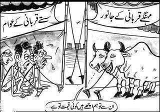 Name:  299886_228071960588744_118341311561810_638355_1426299241_n.jpg
Views: 5296
Size:  27.3 KB