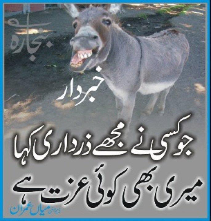 Name:  zardari.jpg
Views: 190
Size:  71.9 KB