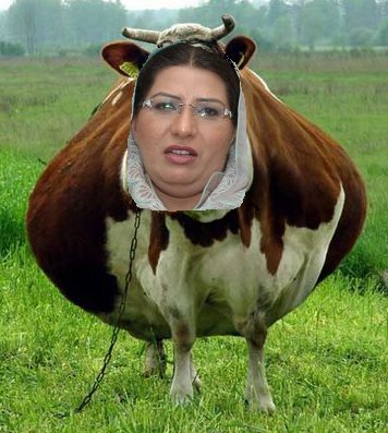 Name:  Firdous Ashiq Awan eid mubrak cow.jpg
Views: 18833
Size:  43.1 KB