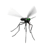 Name:  th_mosquito.gif
Views: 1735
Size:  44.0 KB