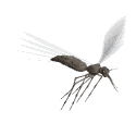 Name:  AnimatedMosquito.gif
Views: 1736
Size:  20.6 KB