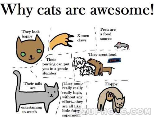 Name:  Why Cats are Awesome.jpg
Views: 249
Size:  51.5 KB
